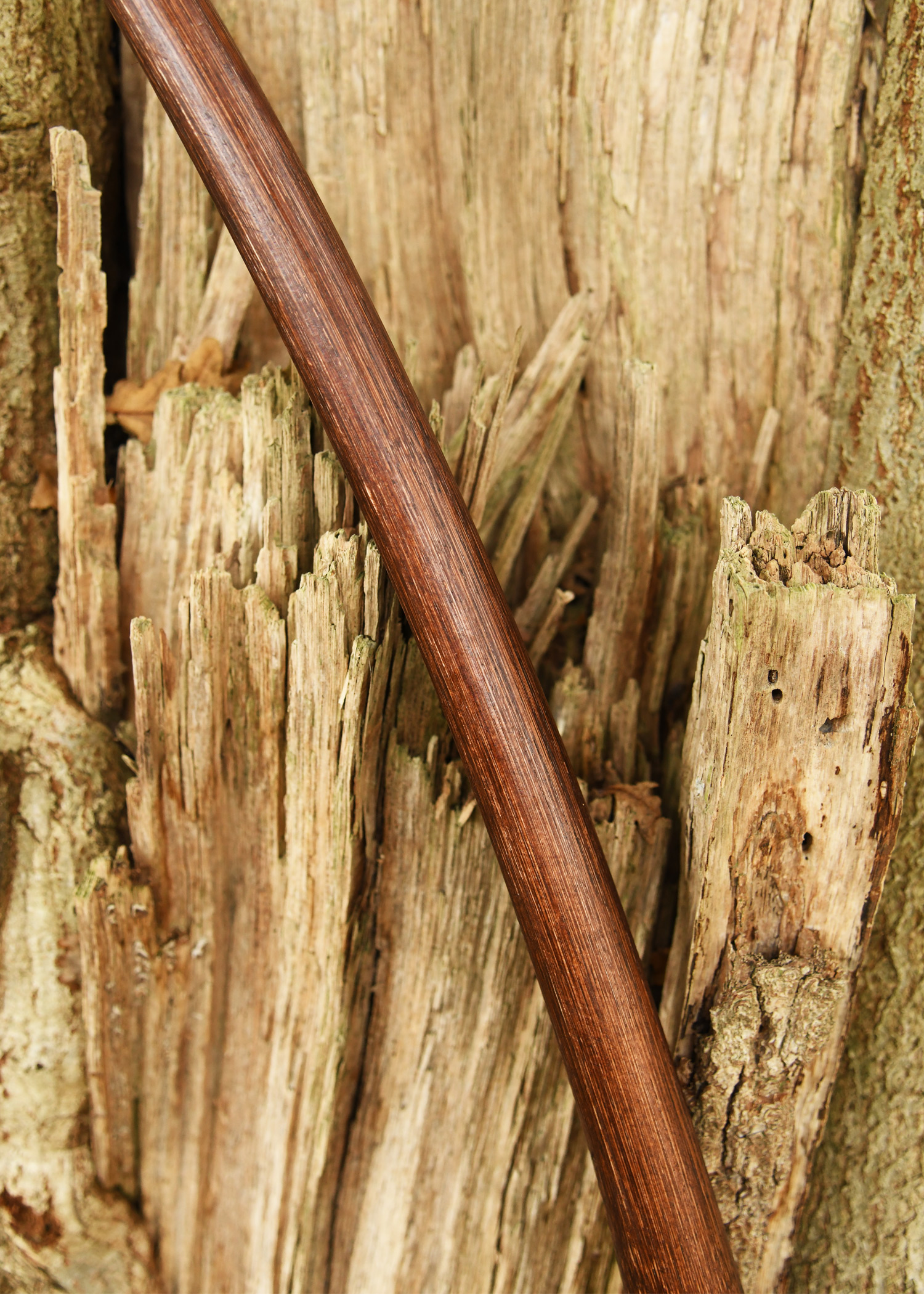 Longbow Agincourt 70 in., BH, dark brown, string included