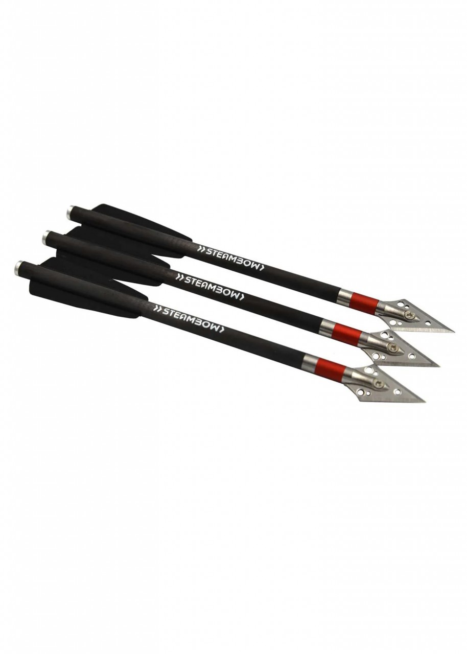 Steambow AR-Series – SCHWERE CARBON-JAGDPFEILE – Set aus 3 Stk