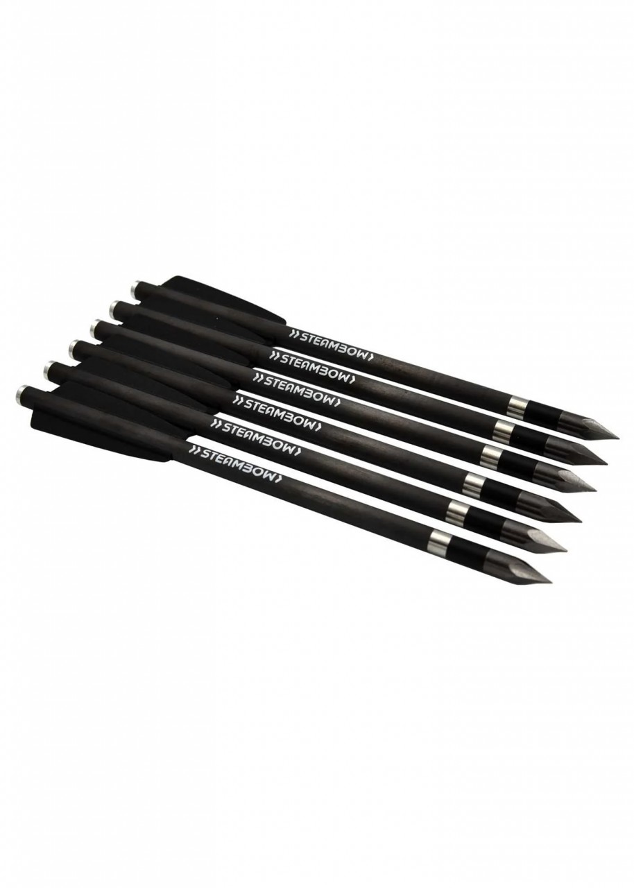Steambow AR-Series – SCHWERE CARBON BODKINPFEILE – Set aus 6 Stk.