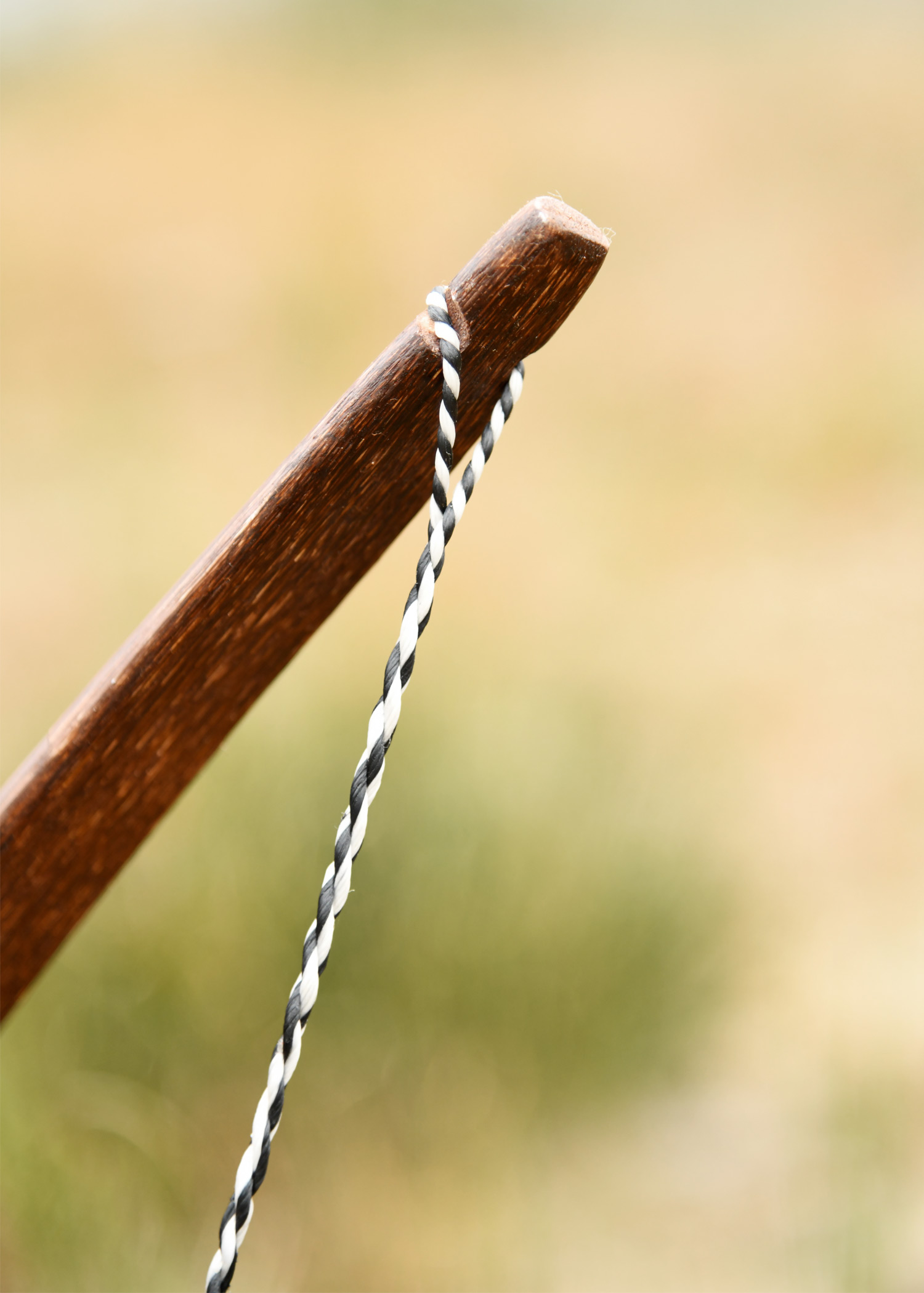 Longbow Agincourt 58 in. RH, dark brown, string included
